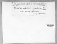 Image Associated With the Occurrence